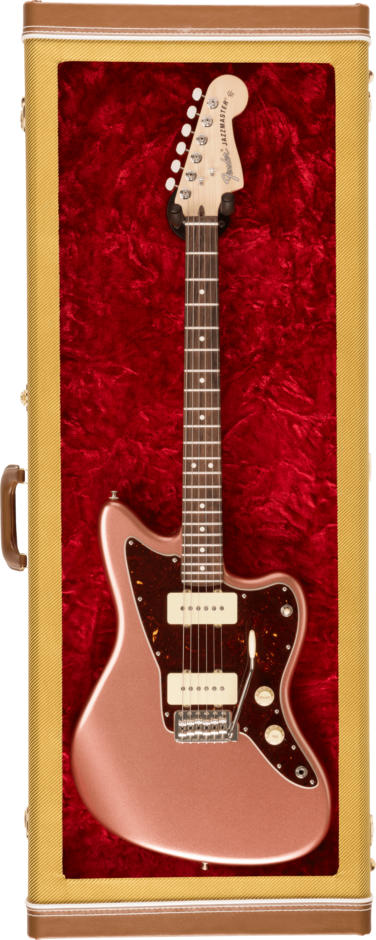 Guitar Display Cases