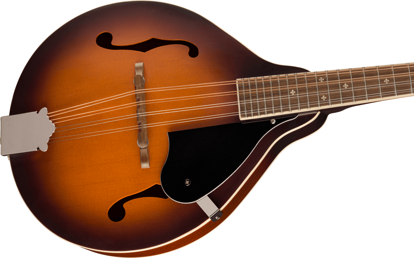 PM-180E Mandolin