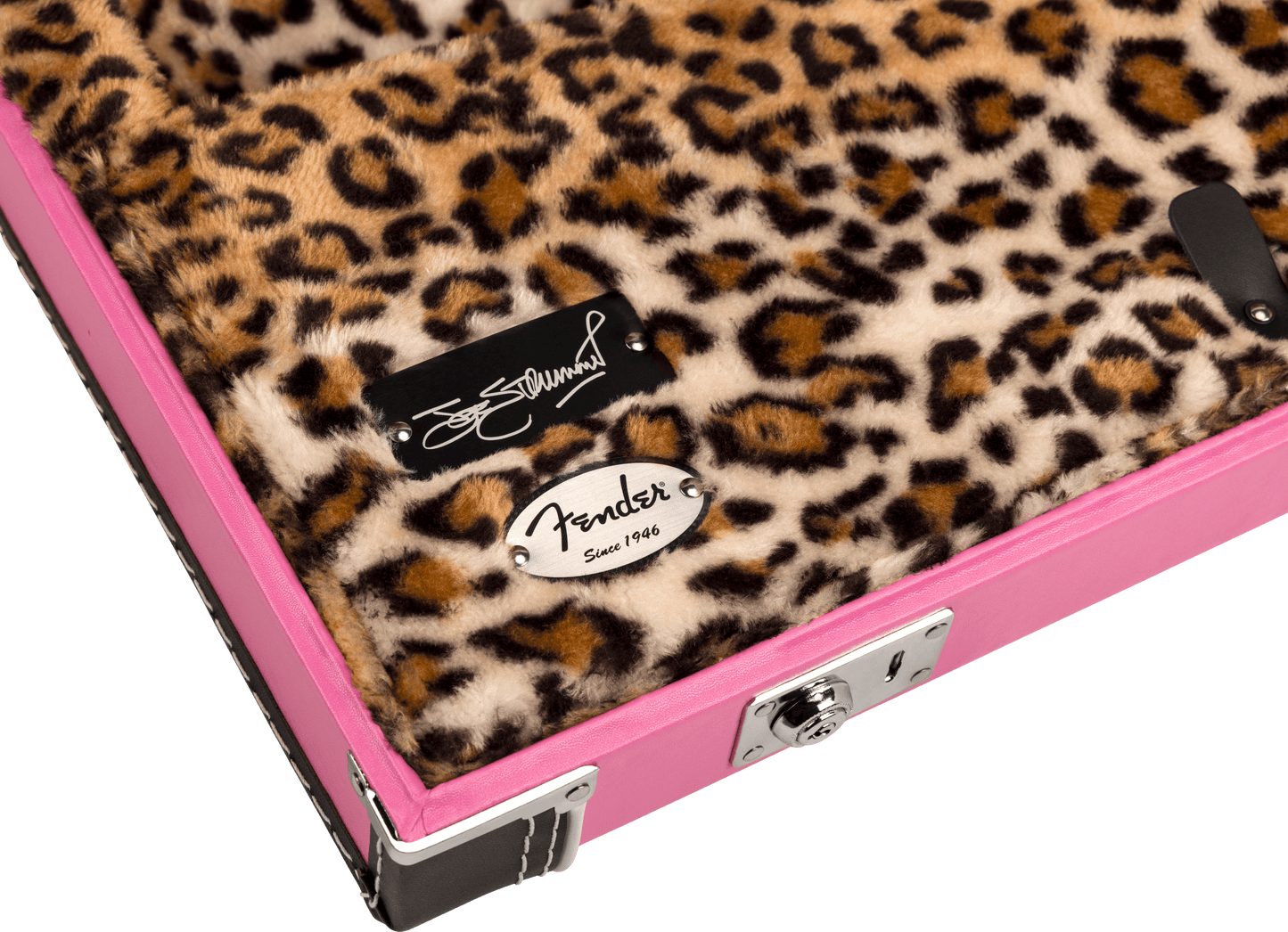 Joe Strummer Tele/Strat Case