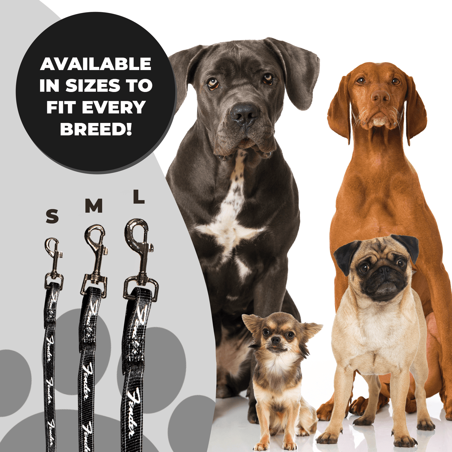Fender® Running Logo Dog Leash